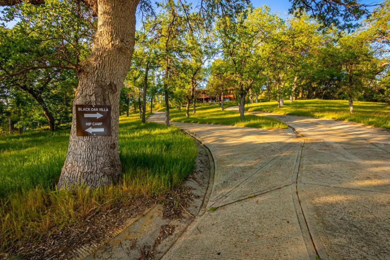 10-Acre Forest Villa, 20 Miles From Yosemite South Oakhurst Zewnętrze zdjęcie